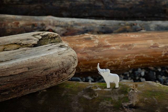 This New Year Take Home A Symbol Of Power, Strength and Positivity