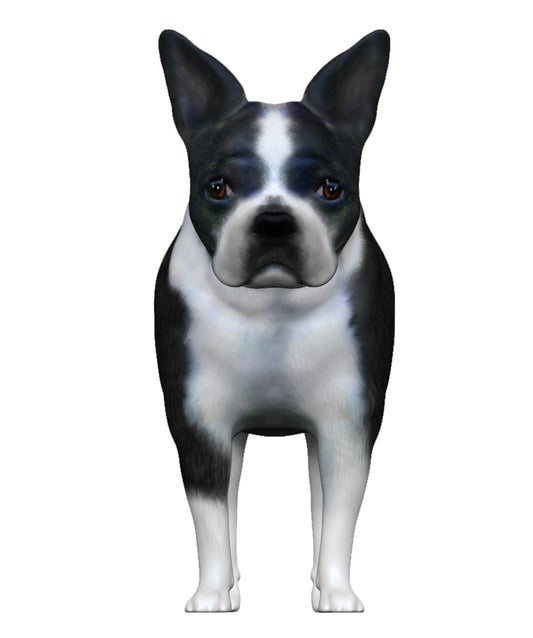 Boston Terrier Figurine | My3dSelfie | My3dSelfie