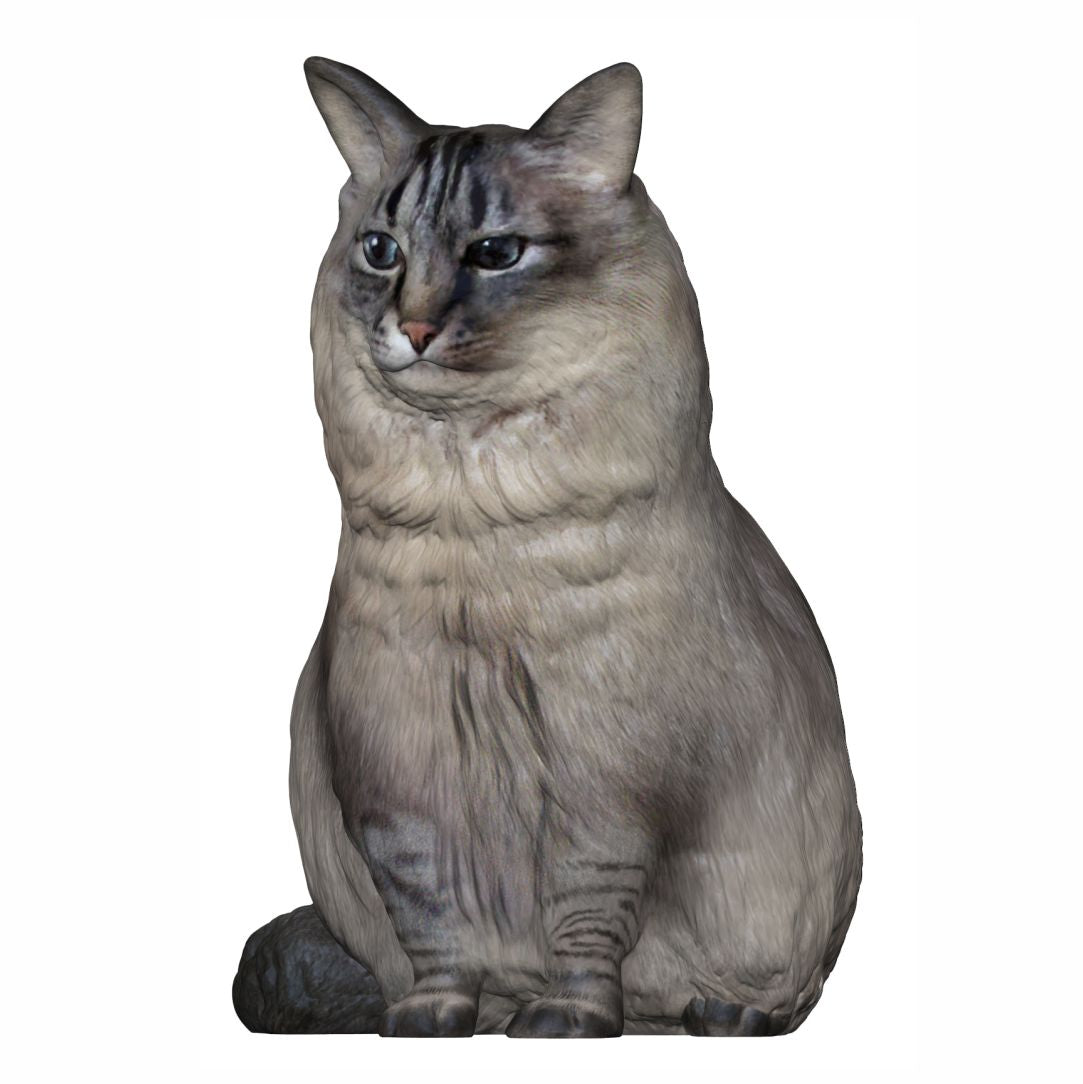 Make custom Cat Figurines from photos | Personalized Cat Figurines | My3dSelfie