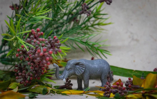 Can we keep a single Elephant Statue at home?