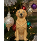 Christmas Ornaments-Pets (Dogs & Cats Ornaments)