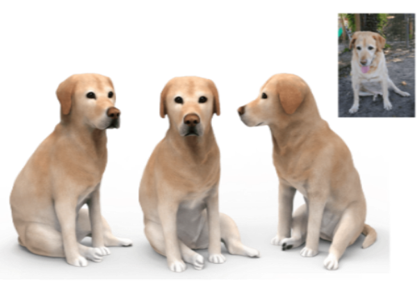 Second Copy Of Dog Clones