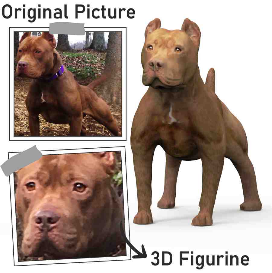 Realistic dog statue from 2d photos.
