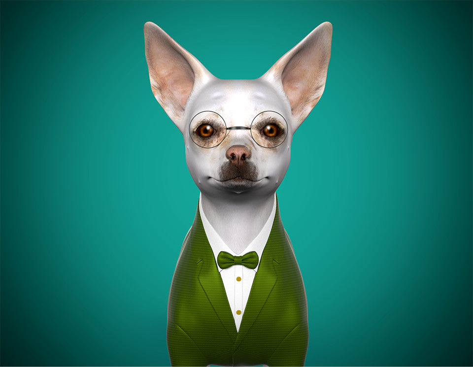 Customised 3d dog avatar-professor