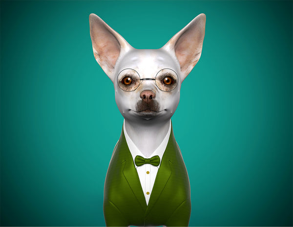 Customised 3d dog avatar-professor