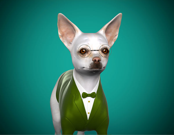 personalised 3d digital avatar of pet dog - Diagonal Front